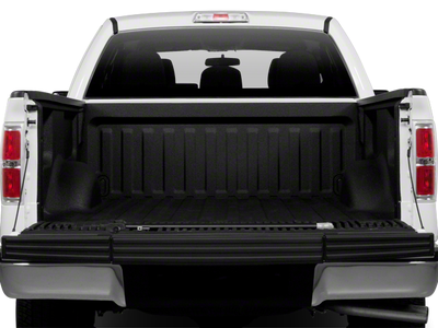2010 Ford F-150 STX