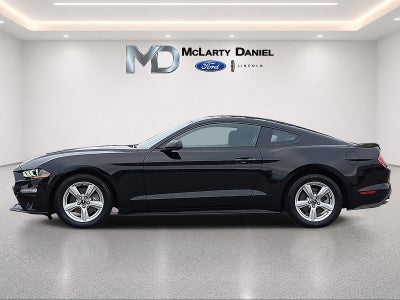 2019 Ford Mustang EcoBoost